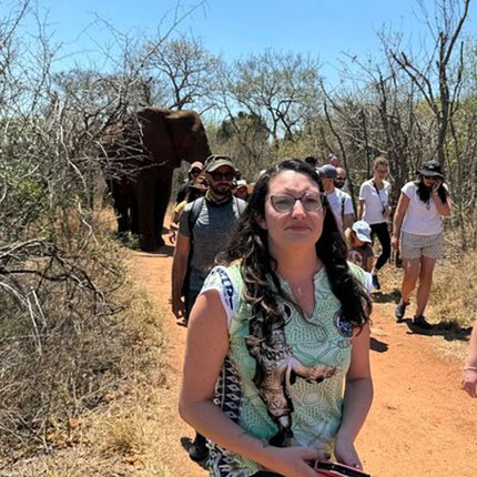 Elephant & Monkey Sanctuary Tour from Johannesburg
