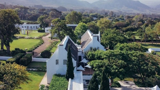 Constantia: Full-Day Wine Tour + Roundtrip Transfer