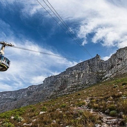 Cape Town City Sightseeing Tour