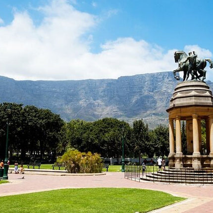 Cape Town Half-Day Sightseeing in Cape Town
