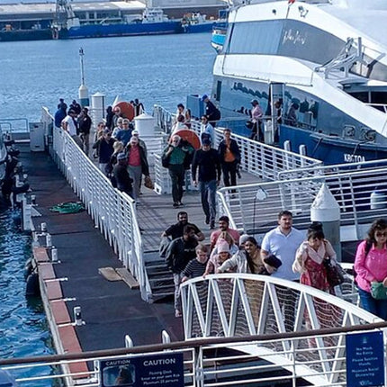 Robben Island and Table Mountain Pre Booked Tickets