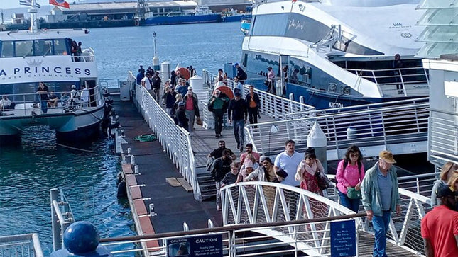 Robben Island and Table Mountain Pre Booked Tickets