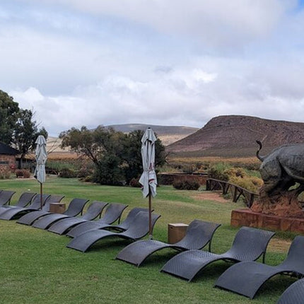 Aquila Afternoon Safari and Wine Tasting