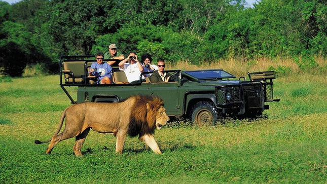 3 Day Big 5 and Bungee Tour - Garden Route Small Group Tour from Cape Town