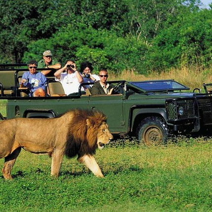 3 Day Big 5 and Bungee Tour - Garden Route Small Group Tour from Cape Town