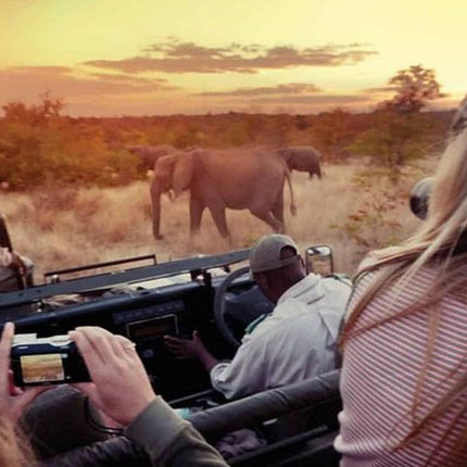Kruger Park Safari