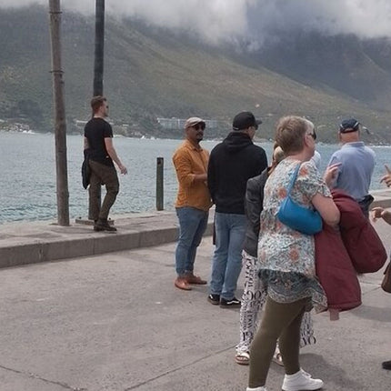 Table Mountain, Cape of Good Hope & Penguins