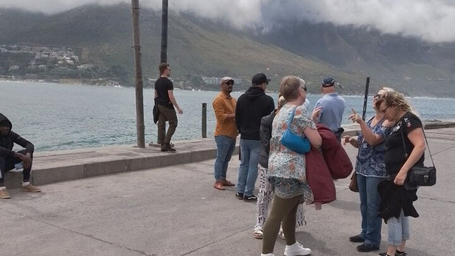 Table Mountain, Cape of Good Hope & Penguins