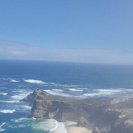 Cape of Good Hope Tour by Bus