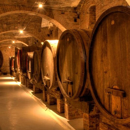 Combo Marine Wildlife Cruise & Winelands Full Day Tour in CT