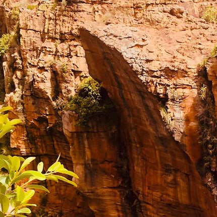 7 Days Kruger National Park Private Tour