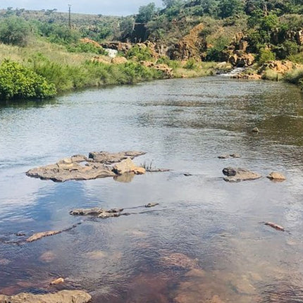 7 Days Kruger National Park Private Tour