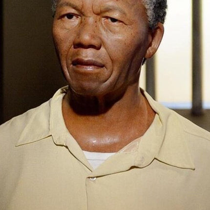 Robben Island Museum Half-Day Tour. Including all tickets.