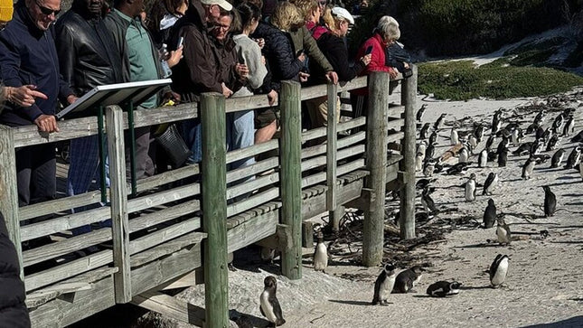 Full Day Cape Peninsula tour from Cape Town