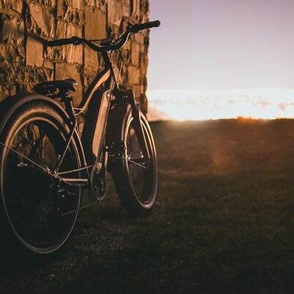 E-Bike Cape Peninsula Full Day Tour in Cape Town