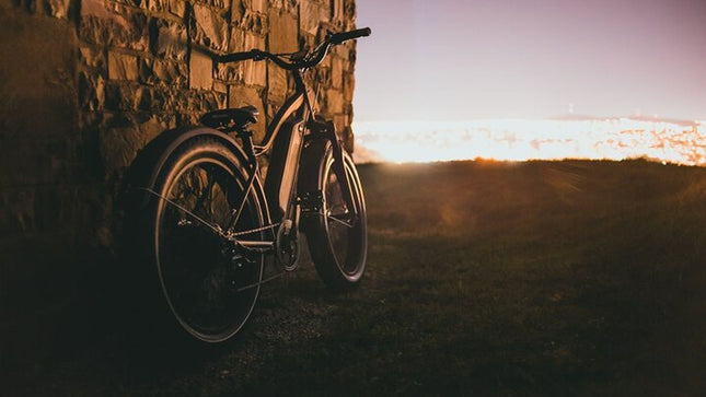 E-Bike Cape Peninsula Full Day Tour in Cape Town