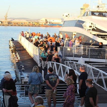 Half Day Experience in Robben Island Museum From Cape Town