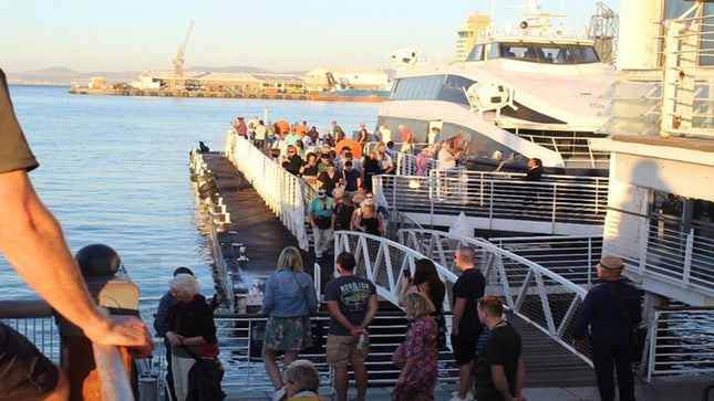 Half Day Experience in Robben Island Museum From Cape Town