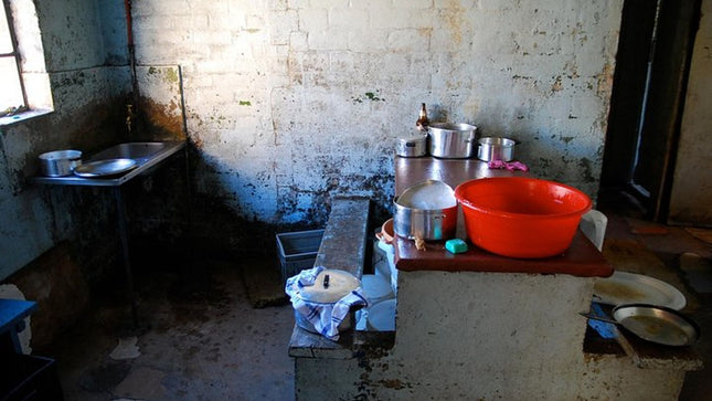 Cape Town Half-Day Small-Group Township Tour