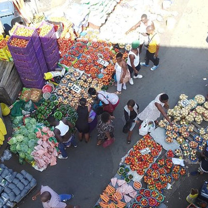 Durban Small-Group City Highlights Tour