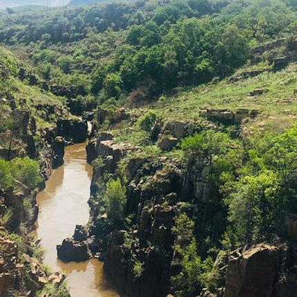 7 Days Kruger National Park Private Tour