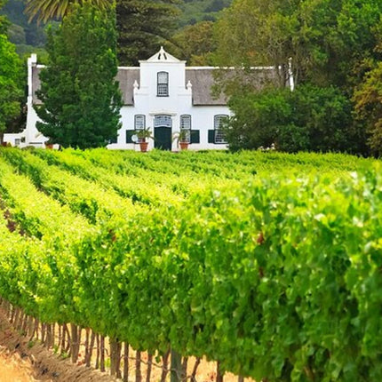 Combo Marine Wildlife Cruise & Winelands Full Day Tour in CT