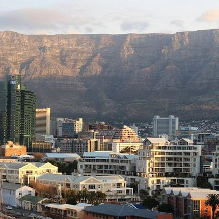 Cape Town City Tour Half-Day