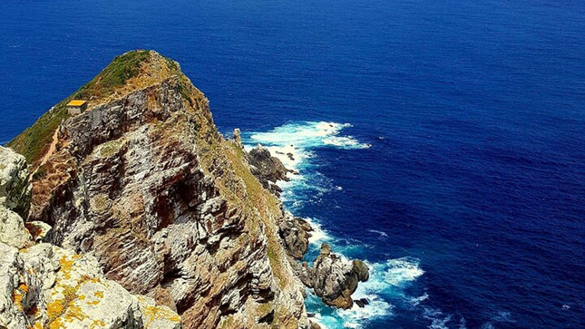 Full day Cape Peninsula Tour