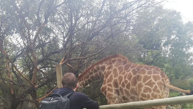 11 days South Africa tour(good for group)