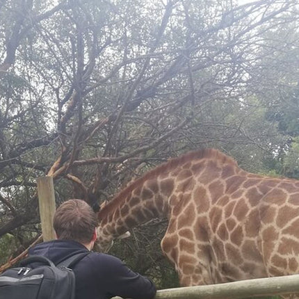 11 days South Africa tour(good for group)