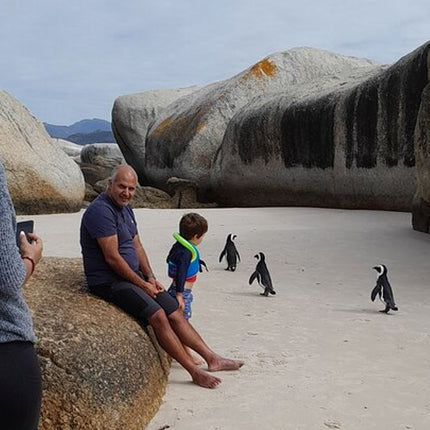 Cape of Good Hope Tour by Bus