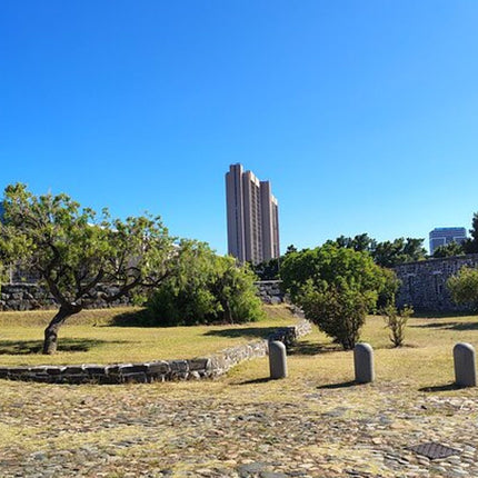 Cape Town City Tour Half-Day