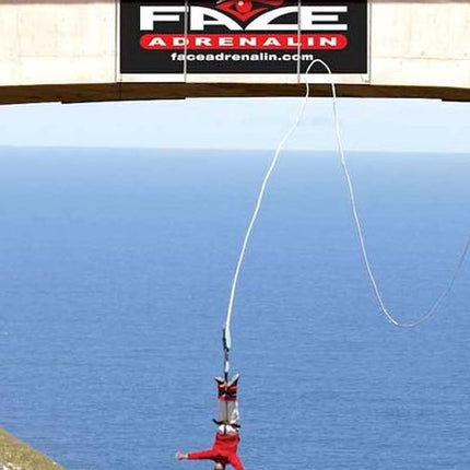 3 Day Big 5 and Bungee Tour - Garden Route Small Group Tour from Cape Town