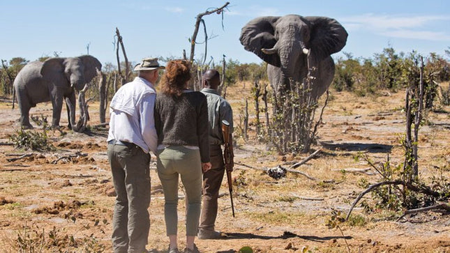Inverdoorn Private Game Reserve Cape Town Tour
