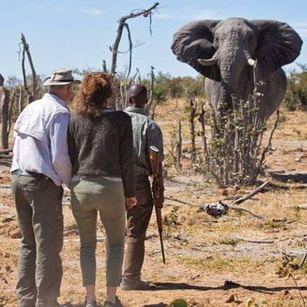 Inverdoorn Private Game Reserve Cape Town Tour