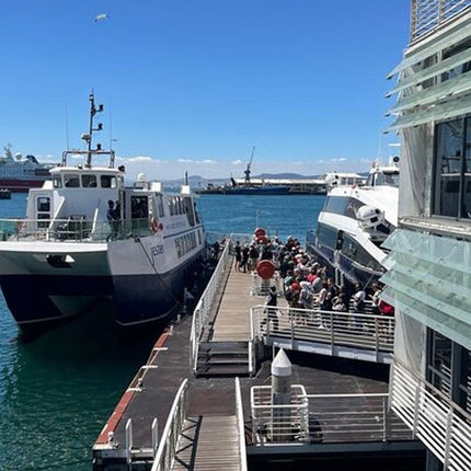 Robben Island Half Day Tour With Pre Booked Ticket from Cape Town
