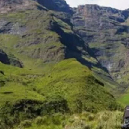 7 Days Safari - Isimangaliso, Hluhluwe & Drakensberg from Durban