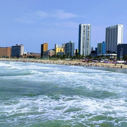 Durban Small-Group City Highlights Tour