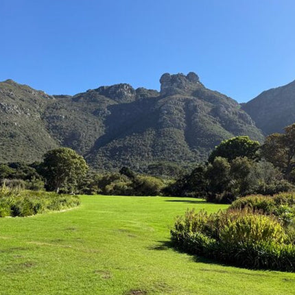 Private Tour Robben Island, Kirstenbosch and wine tasting