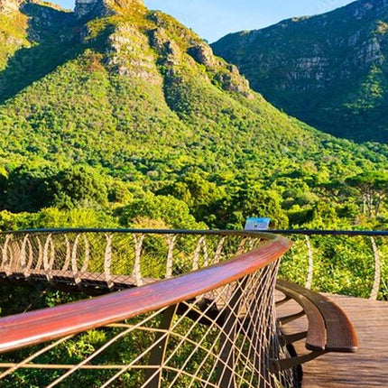 Robben Island ,Kirstenbosch Gardens and Groot Constantia.
