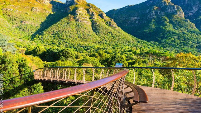 Robben Island ,Kirstenbosch Gardens and Groot Constantia.
