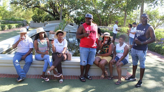 Stellenbosch and Franschhoek Wine Regions Tour