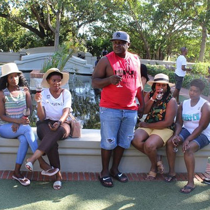 Stellenbosch and Franschhoek Wine Regions Tour