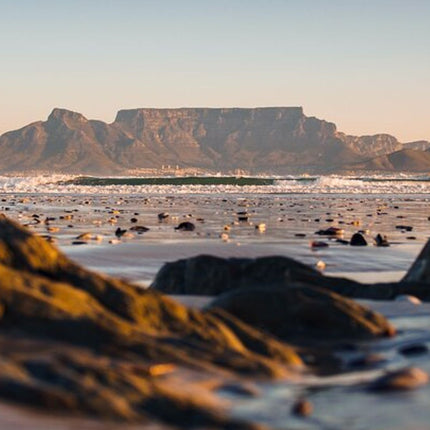 Table Mountain Private Tour and Cable Car Ride