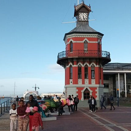 Half Day Experience In Robben Island From Cape Town