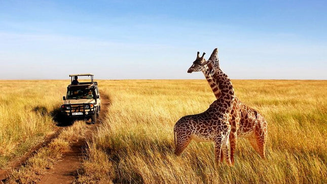 7 Days Safari - Isimangaliso, Hluhluwe & Drakensberg from Durban