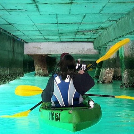 Kayak in Hout Bay