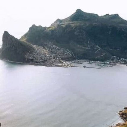 Cape Town and Cape of Good Hope Private Full-Day Tour