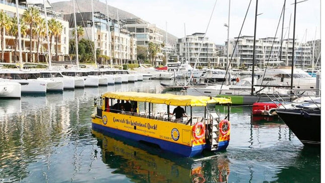 Robben Island Museum Half-Day Tour. Including all tickets.