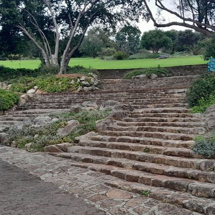 Robben Island, Kirstenbosch Garden, Groot Constantia Private Tour